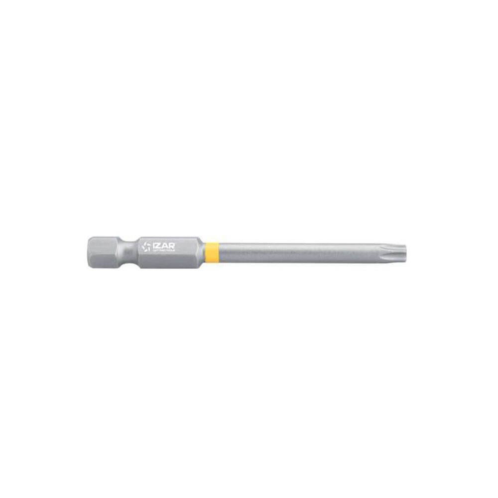 Torx10 L:100 IZAR Standart Bits Uç (5 Adet)
