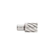 20x30mm IZAR Manyetik Matkap Ucu Hss-xt (4070)