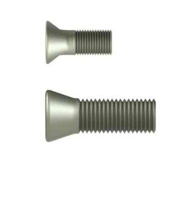 M4x16x6.5 Torx Vida Eric