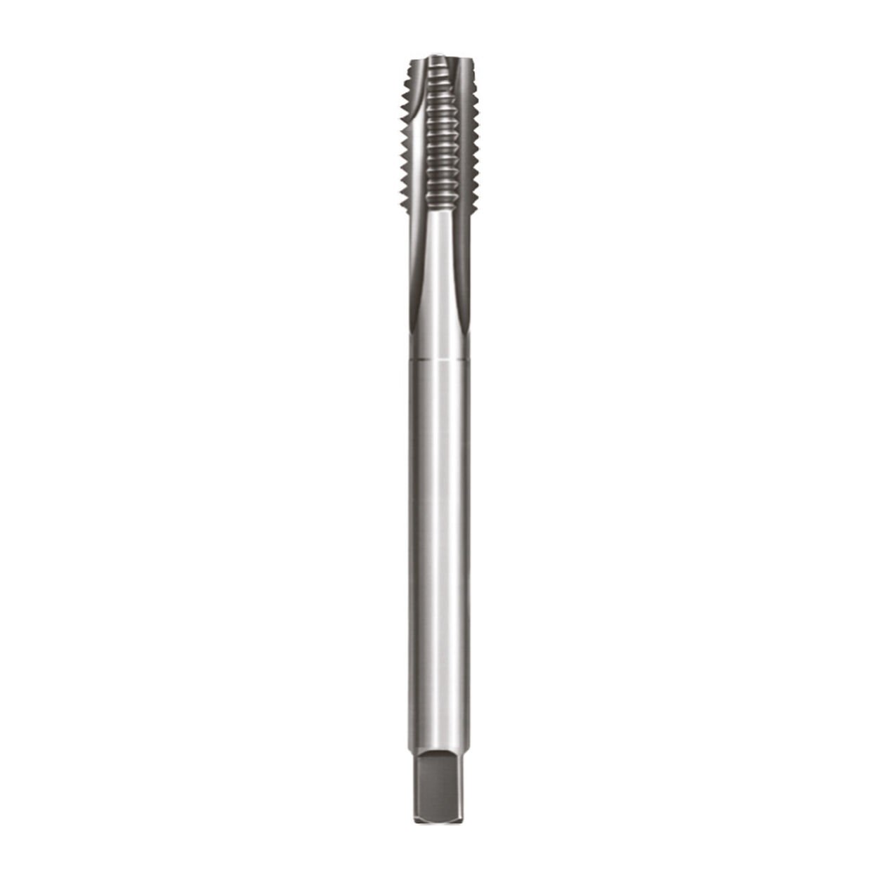 PLD G1/4''-19 Boru Di̇ş Maki̇ne Kilavuzu Din5156/B Hss
