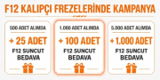 SUNCUT Karbür Kalıpçı Freze F12